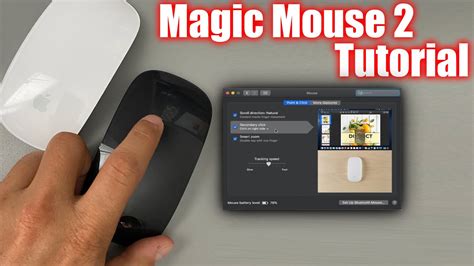 Apple magic mouse white multi touch surfaze